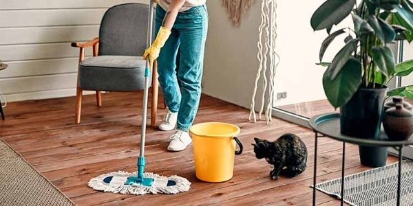 Cleaning